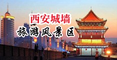 有十五岁人妖第一次操肛门视频吗中国陕西-西安城墙旅游风景区